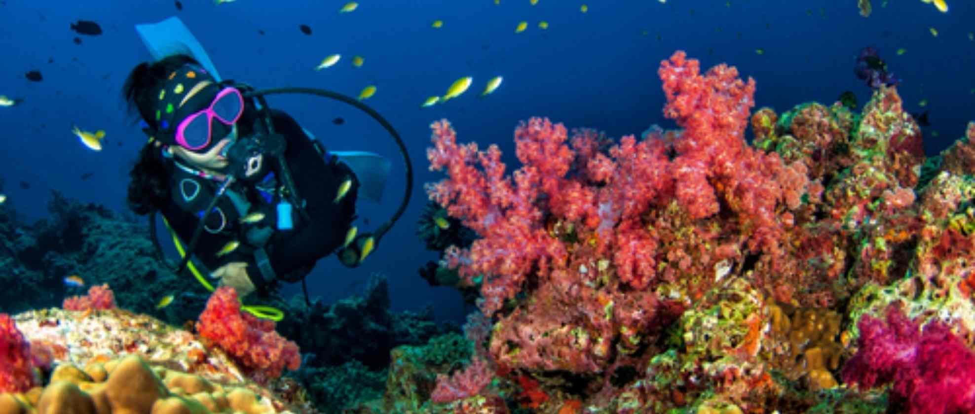 https://omnispace.blob.core.windows.net/image-article/article-308-05 xx dive spot Indonesia yang mendunia (5).jpg