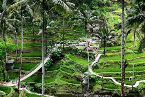 05 Cocok untuk healing, rekomendasi wisata di Ubud, Bali (1)-min.jpg