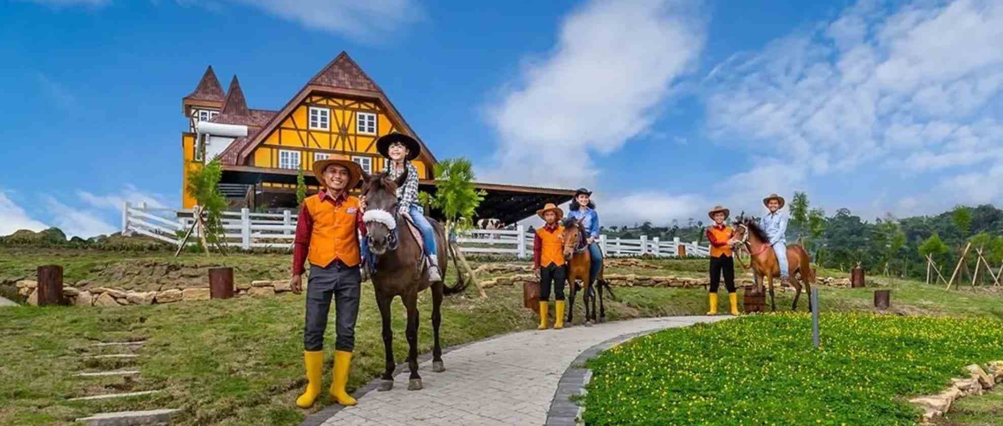 03 Cepogo Cheese Park, Destinasi Wisata Keluarga Kekinian di Boyolali.jpg