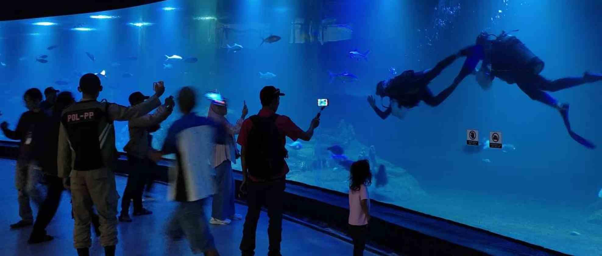 04 Melihat PIAMARI Aquarium Raksasa di Pangandaran.jpg