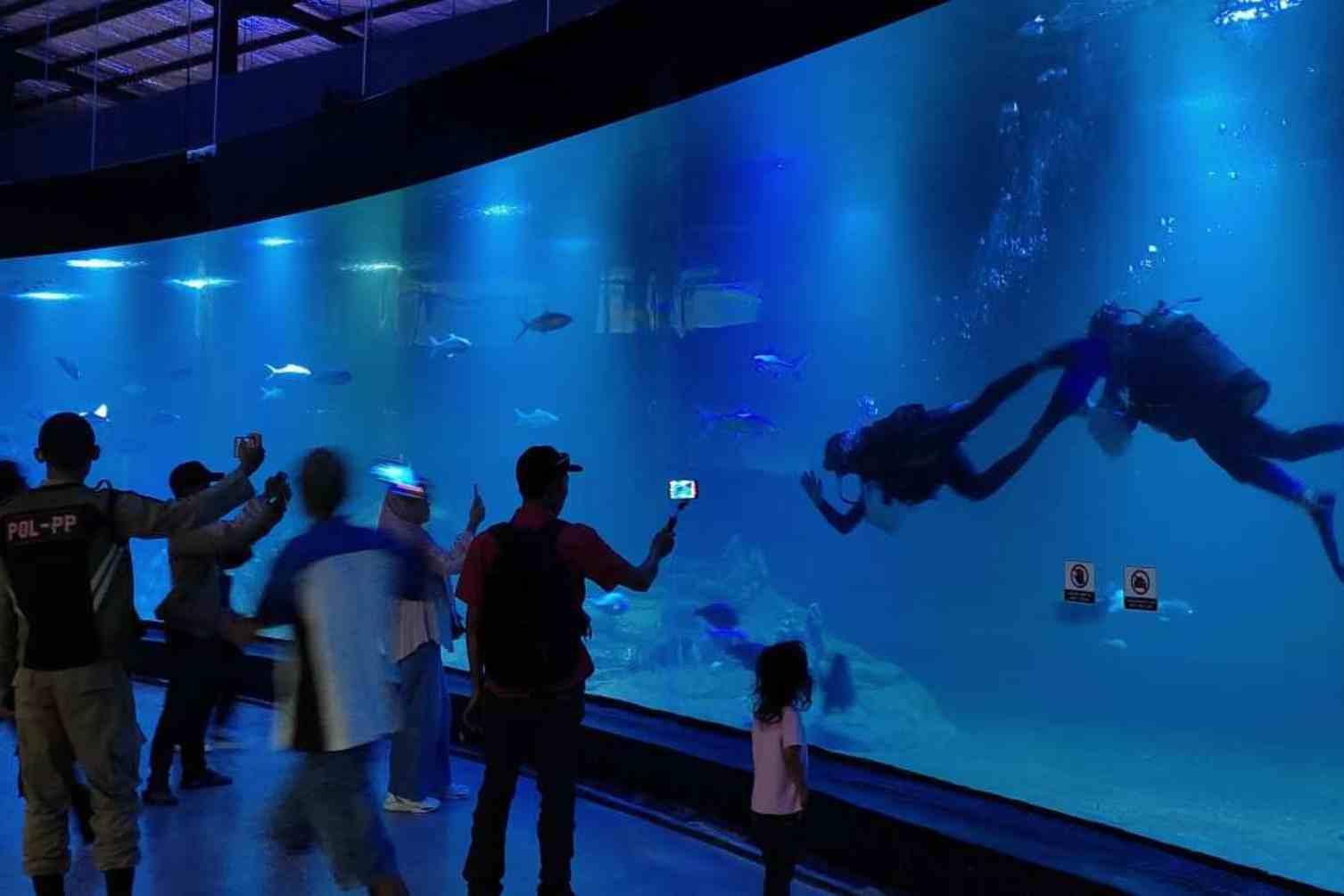 04 Melihat PIAMARI Aquarium Raksasa di Pangandaran.jpg