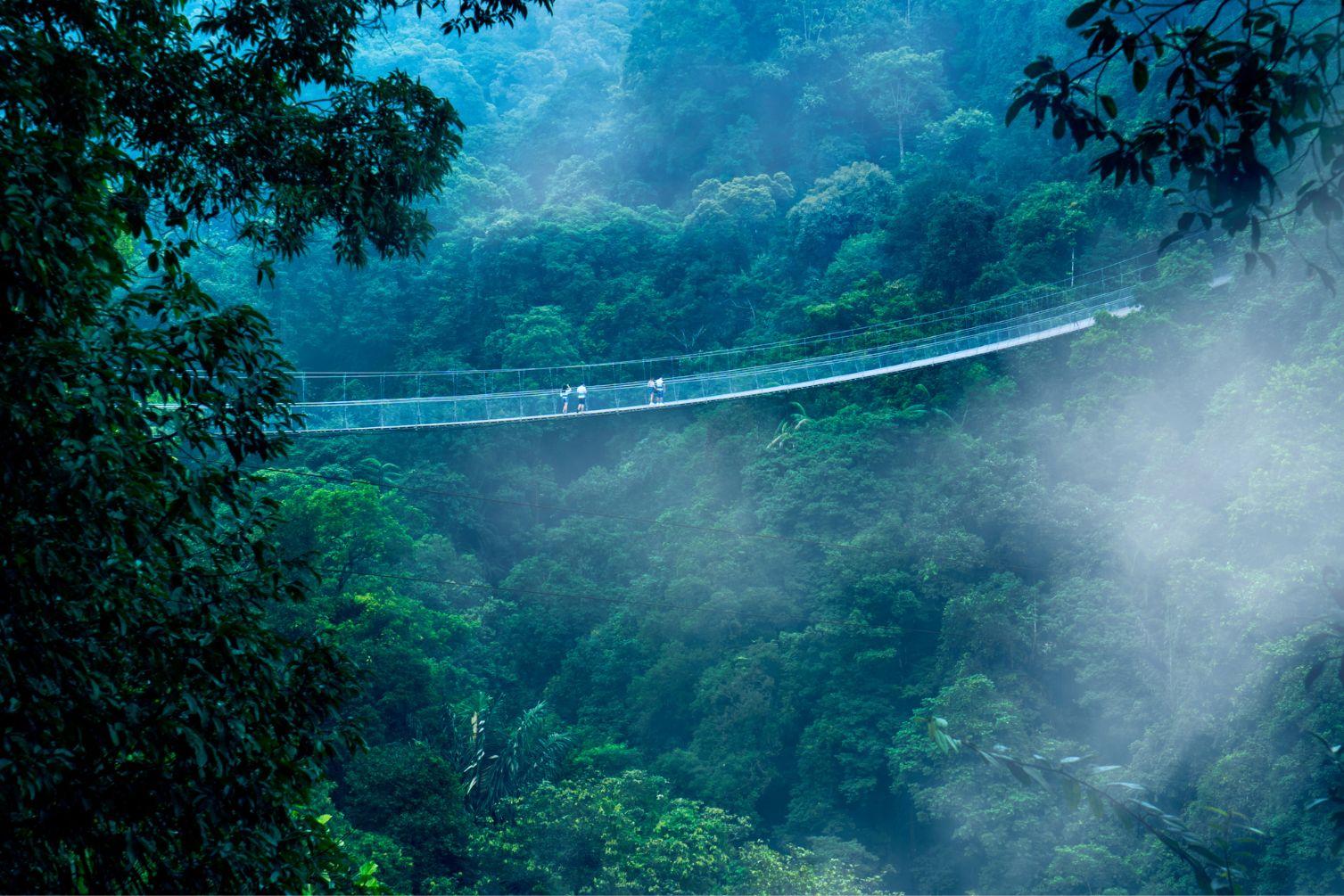 Wisata Lembah Purba, Punya Jembatan Terpanjang di Asia Tenggara