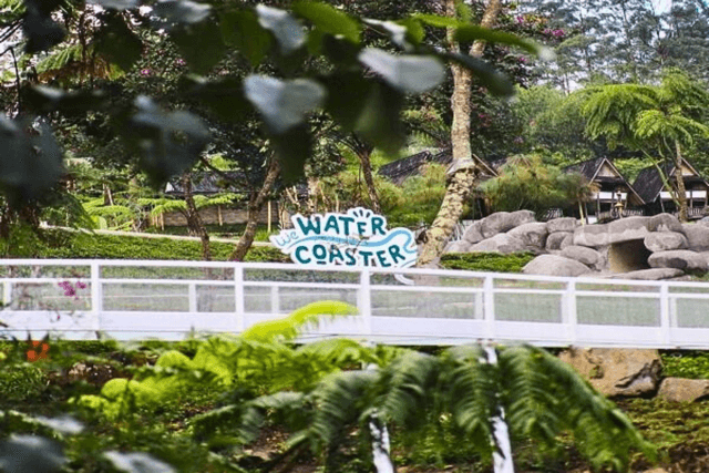Siap Meluncur di Wahana Water Coaster Dusun Bambu