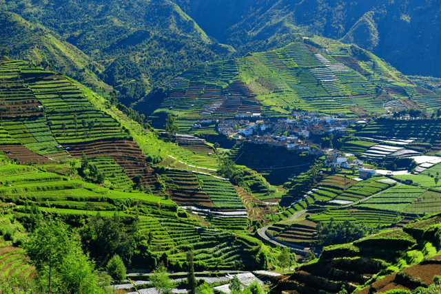 5 Wisata Terbaik di Dataran Tinggi Dieng