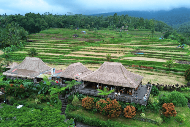 Mengenal Jatiluwih dan Wukirsari, 2 Desa Wisata Terbaik Indonesia
