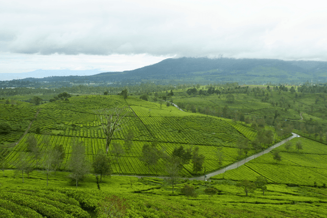 Rekomendasi Wisata Keluarga di Bogor buat Libur Akhir Tahun