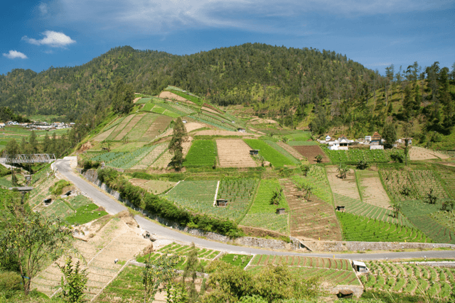Rekomendasi Wisata Tawangmangu, Cocok buat Liburan Akhir Tahun