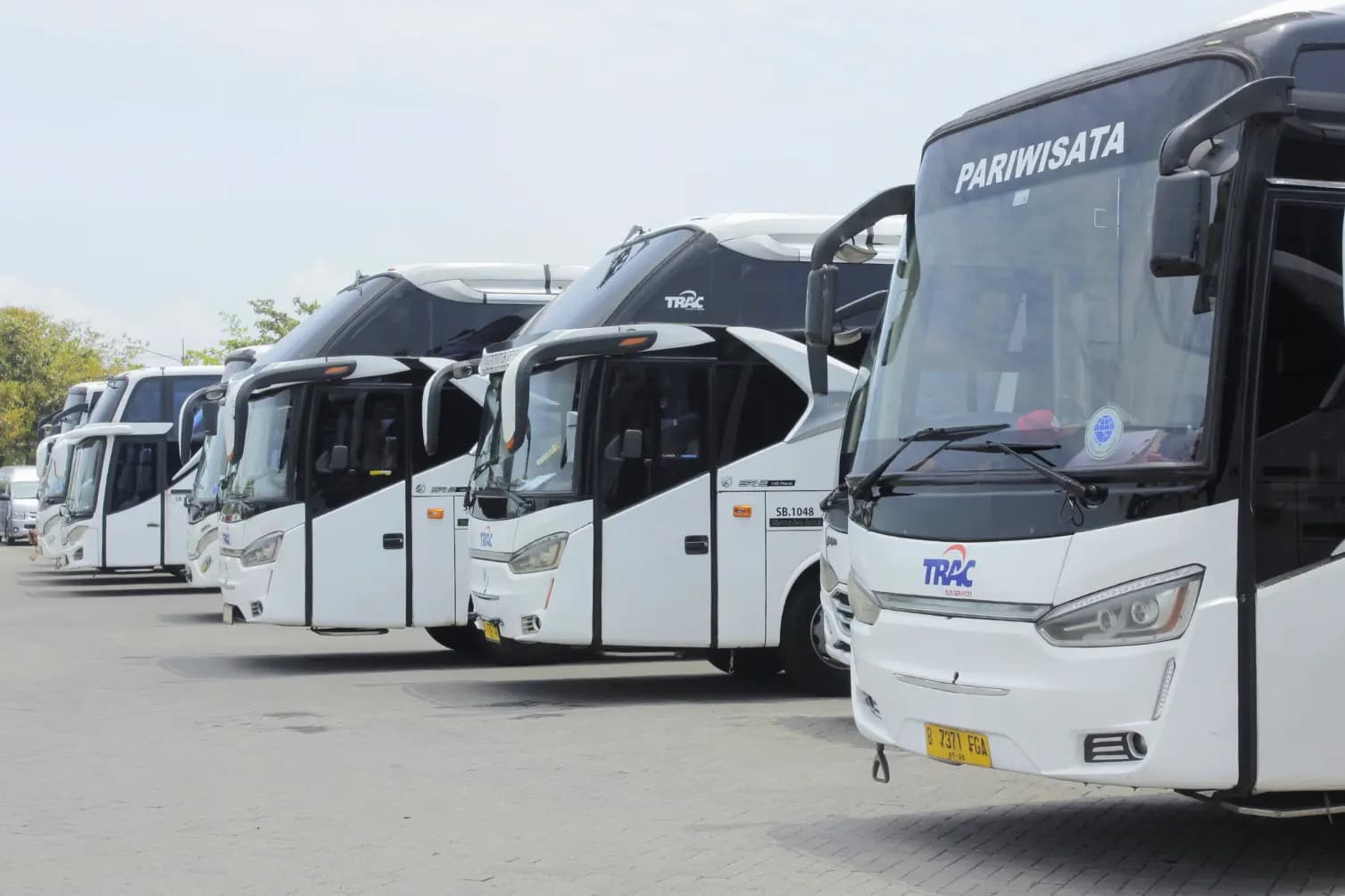 5 Tips Memilih Bus Pariwisata buat Field Trip yang Aman dan Nyaman