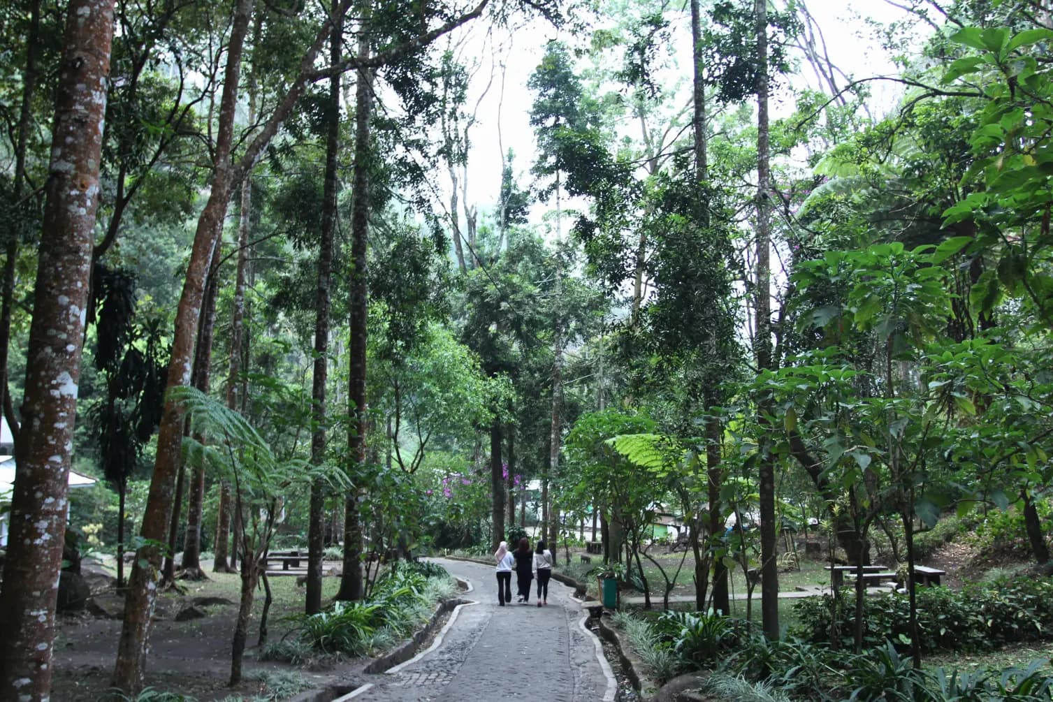 Rekomendasi Wisata Malang dan Batu Paling Hits