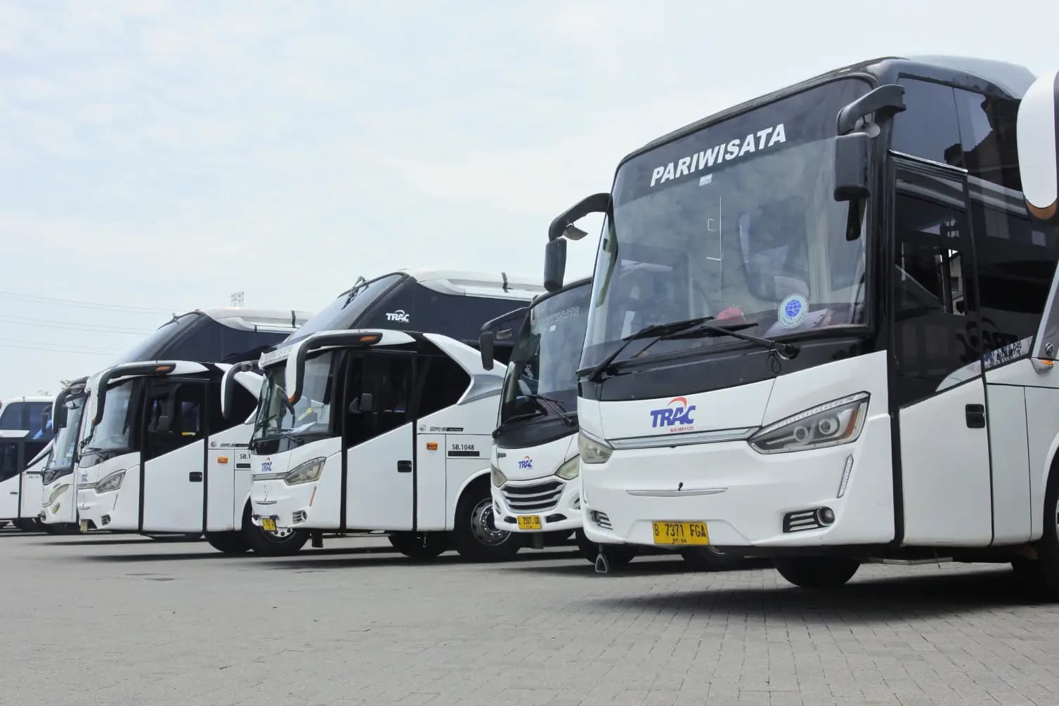 Mengenal Jenis Bus Pariwisata dan Kegunaannya