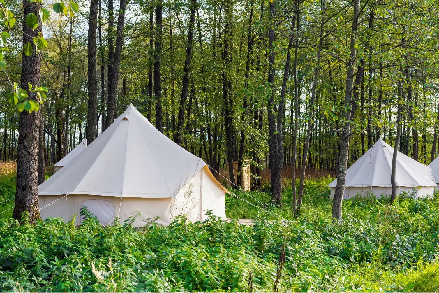 Glamping Ramah Anak di Bogor buat Liburan Akhir Tahun