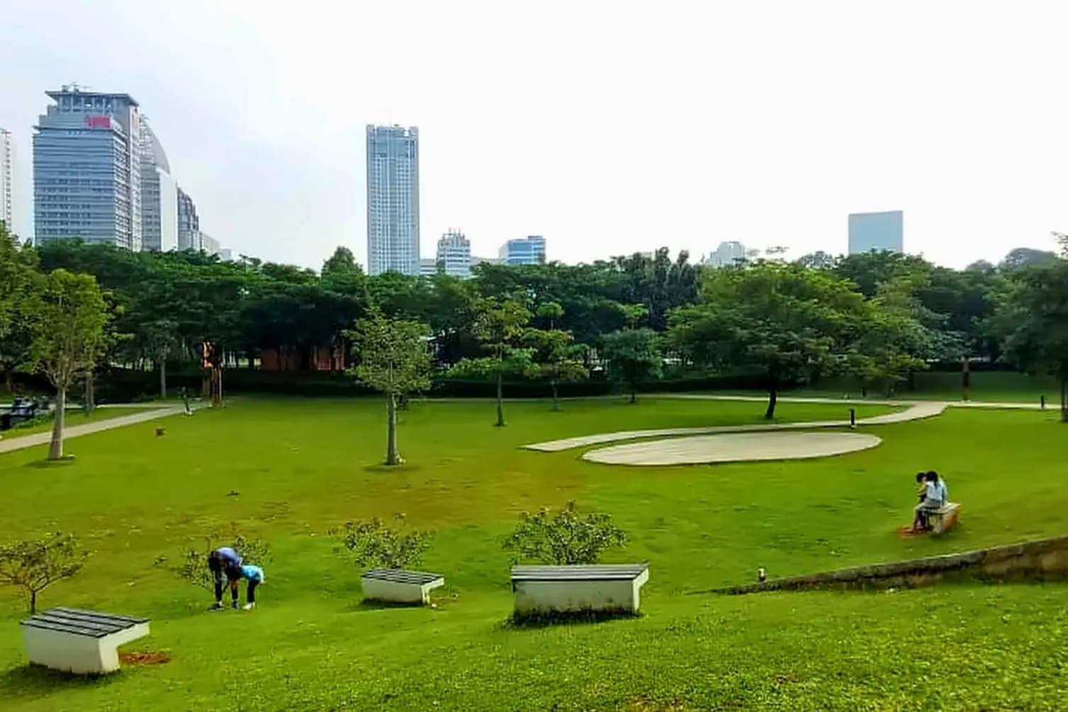 Hutan Kota GBK: Piknik Gratis dengan View Cityscape